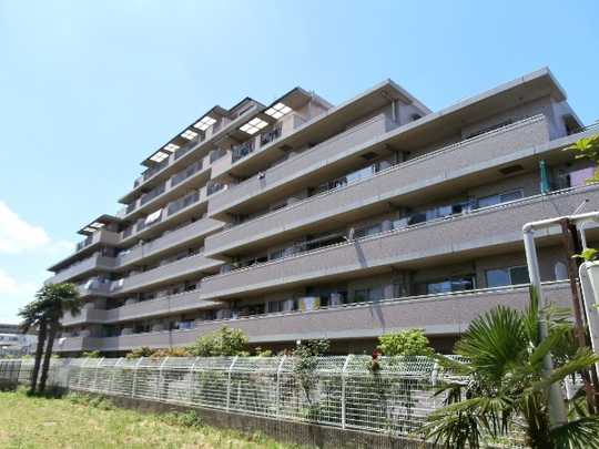 Local appearance photo. Appearance 1