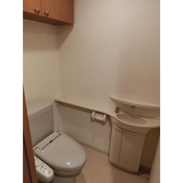 Toilet. Spacious toilet with a wash basin