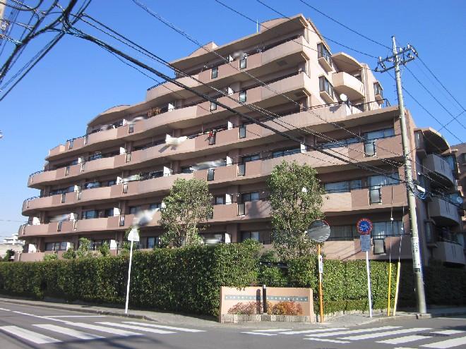 Local appearance photo. Local (10 May 2013) Shooting