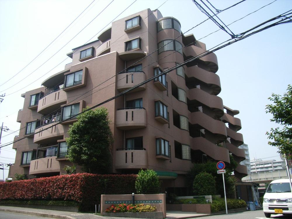 Local appearance photo. Local (10 May 2013) Shooting