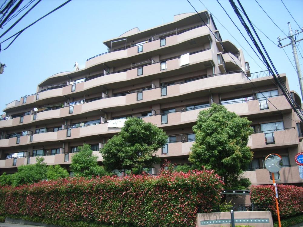 Local appearance photo. Local (10 May 2013) Shooting