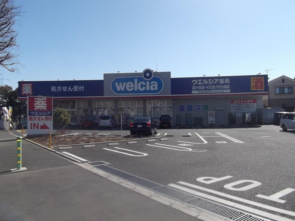 Drug store. Uerushia Yachiyo to Owada store 310m