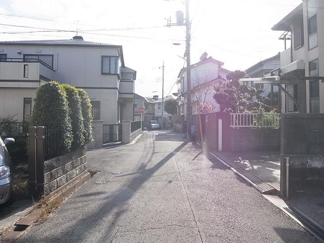 Local photos, including front road. It is flat land