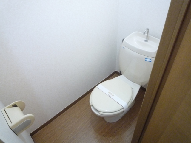Toilet. Clean flush toilets equipped!
