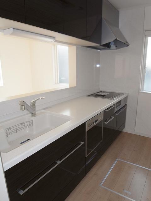 Kitchen. Dishwasher + IH + with water purifier