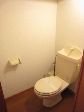 Toilet. The same type