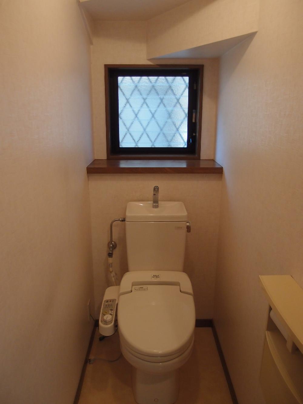 Toilet. Indoor (June 2012) shooting