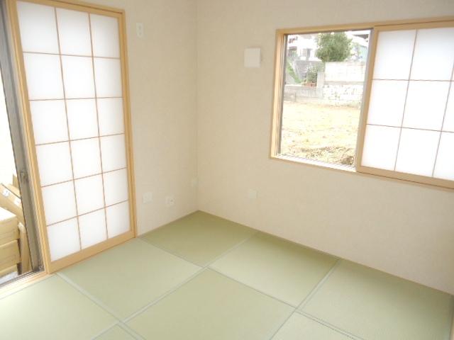 Other introspection. Local (10 May 2013) Shooting