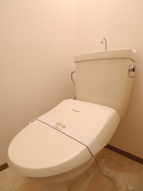 Toilet. Clean flush toilet