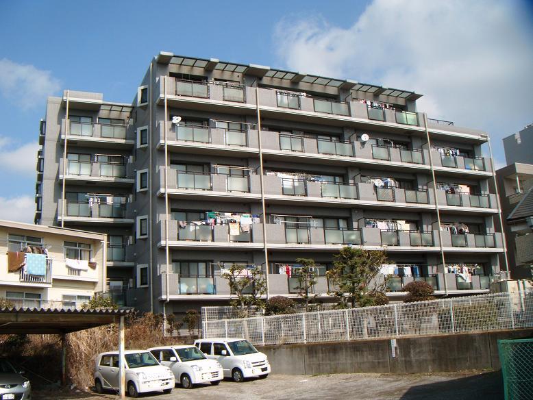 Local appearance photo. Local (August 2013) Shooting