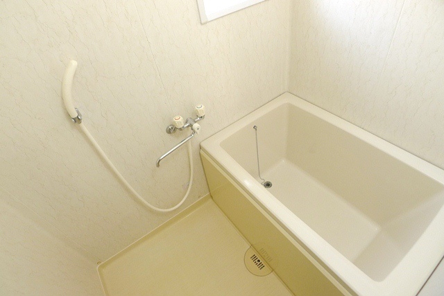 Bath. Adequate ventilation with a small window in the bathroom
