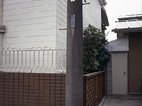 Other. It is the outer wall and white decorated fence point of brown.