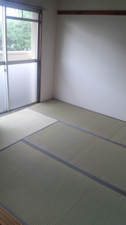 Living and room. Japanese style room