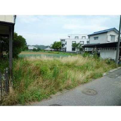 Local land photo