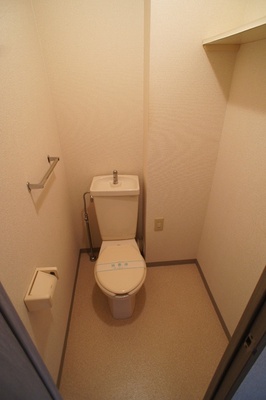 Toilet. Toilet "It is with a convenient shelf" outlet there