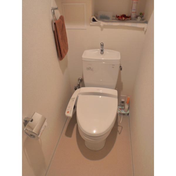 Toilet. With hot-water heating toilet seat