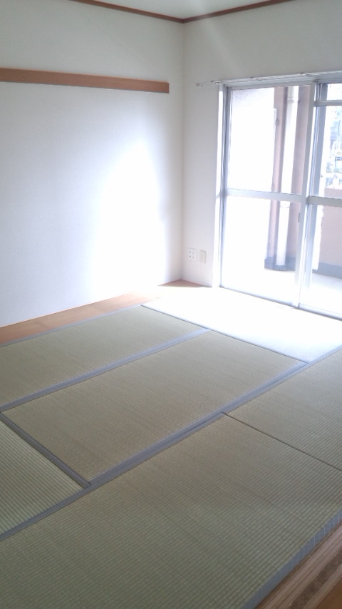 Other room space. Japanese style room