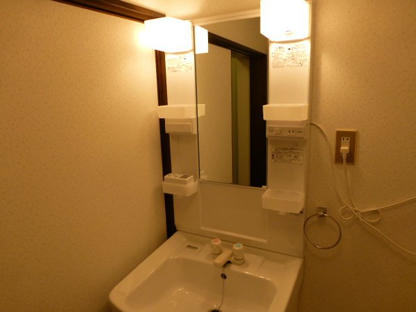 Washroom. Separate vanity wash basin