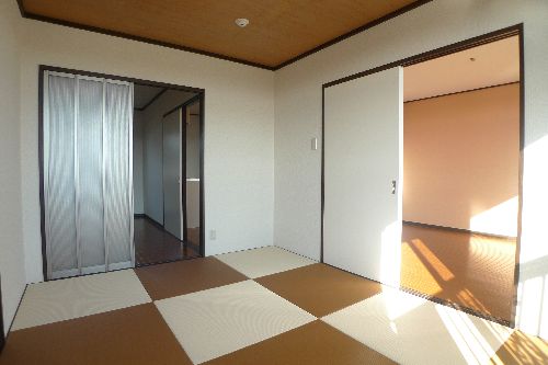 Other room space. Modern Japanese-style using the Ryukyu tatami.