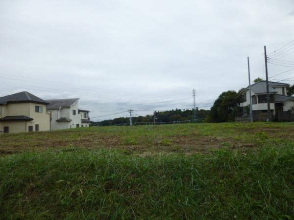 Local land photo