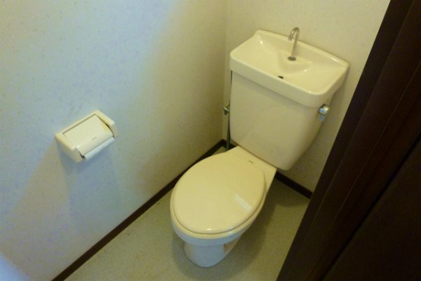 Toilet. Western-style toilet