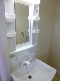 Washroom. It comes with Vanity! ! !
