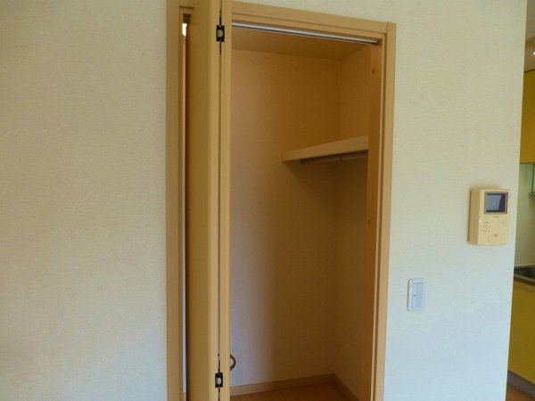 Other room space. Walk-in closet