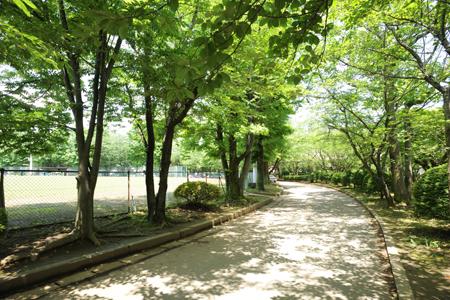 park. Yotsukaidou to Central Park 1226m