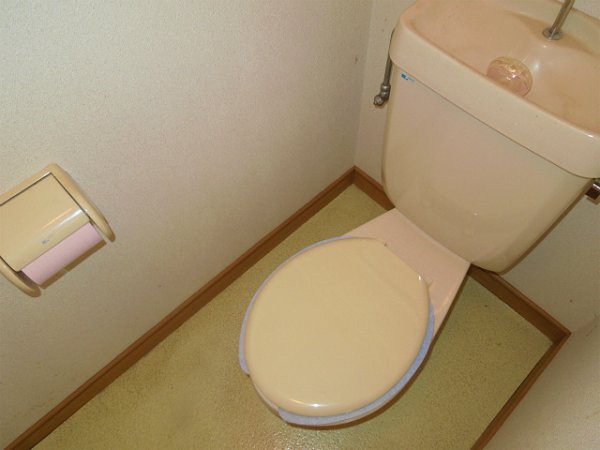 Toilet. Western-style toilet