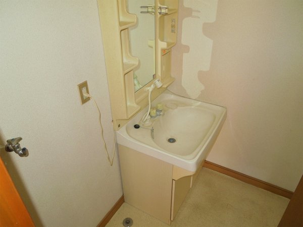 Washroom. Convenient Vanity