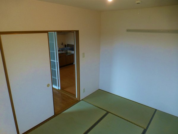 Other room space. Japanese style room