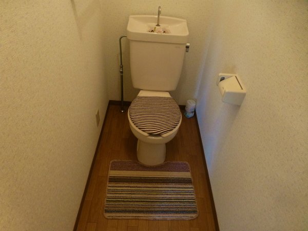 Toilet. Toilet with cleanliness