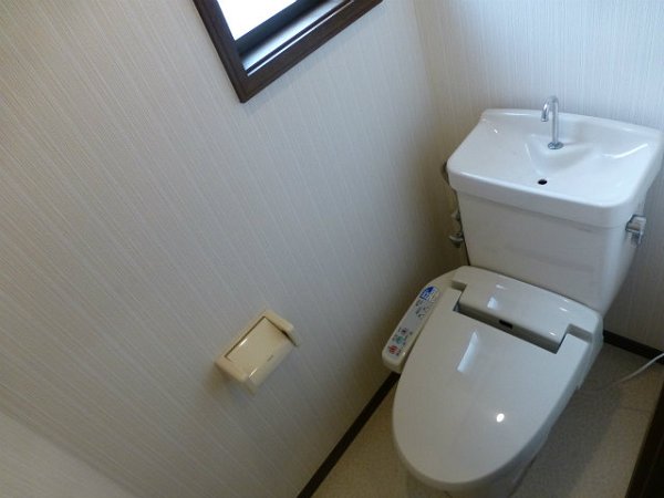 Toilet. Toilet with shower