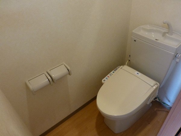 Toilet. Bathroom with a shower