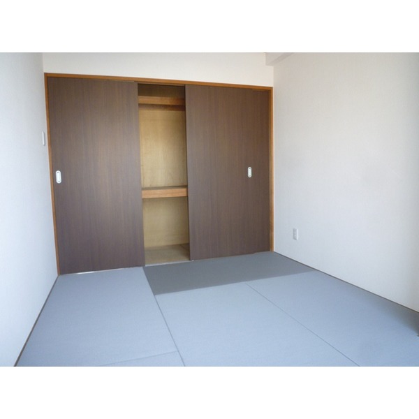 Other room space. Japanese-style tatami color