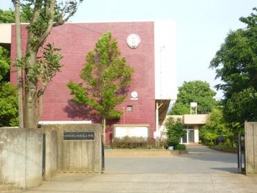 Primary school. Yotsukaido until elementary school 190m
