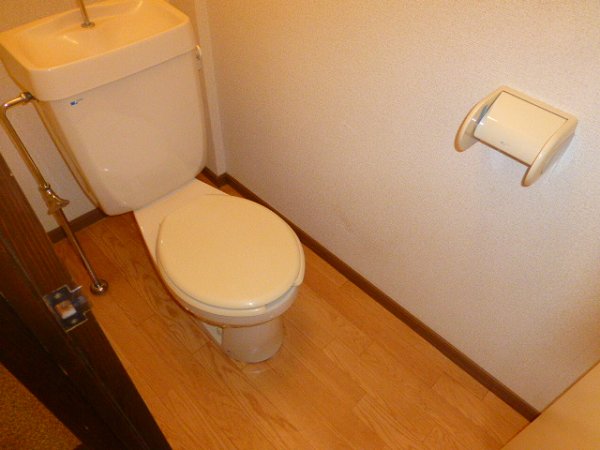 Toilet. Toilet with cleanliness