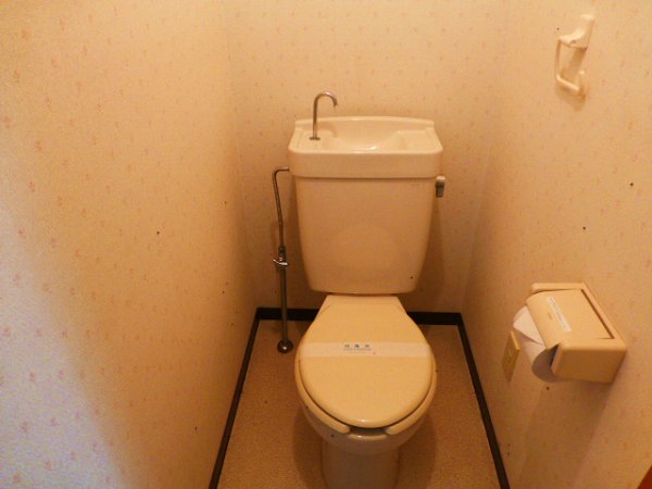 Toilet. Towel rail with toilet