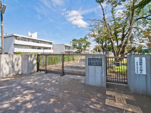 Primary school. To South Elementary School 160m