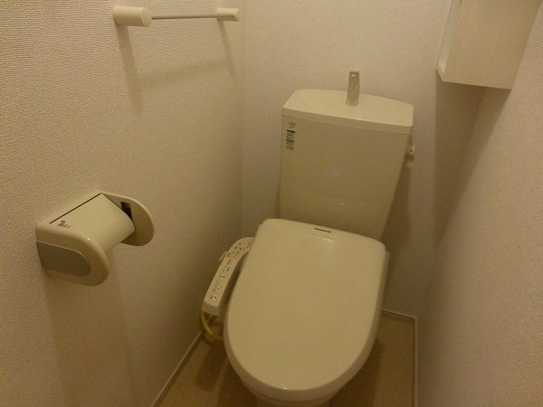 Toilet. Bathroom with a shower