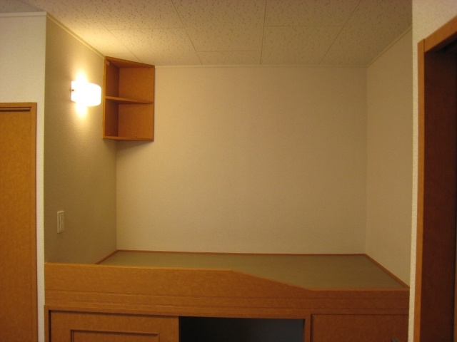 Living and room. Bed area. It is a futon pull space.