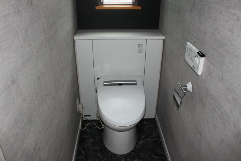 Toilet. Cleanliness, Poised toilet.