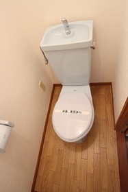 Toilet. Toilet