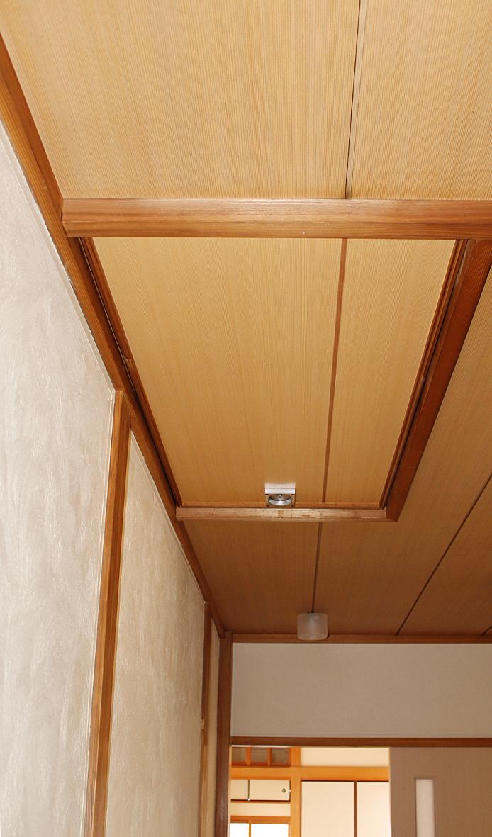 Other introspection. Attic