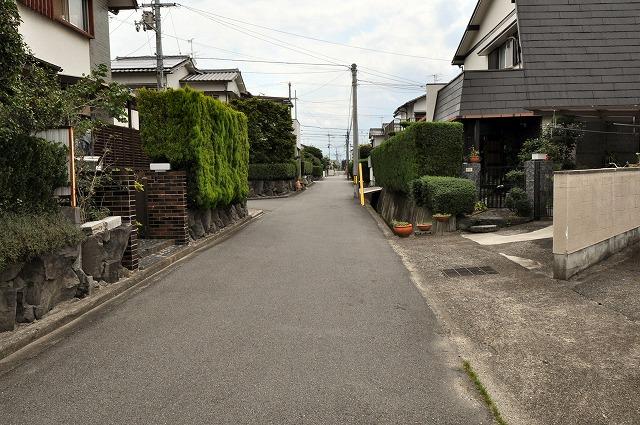 Local photos, including front road. We photographed the north front road from the west. 