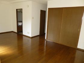 Living and room. Facing south in a bright LDK