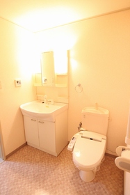 Washroom. Shampoo dresser toilet