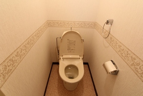 Toilet. Toilet