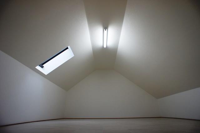 Other introspection. Loft (1)