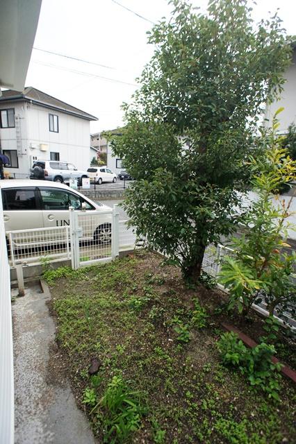 Garden. South garden